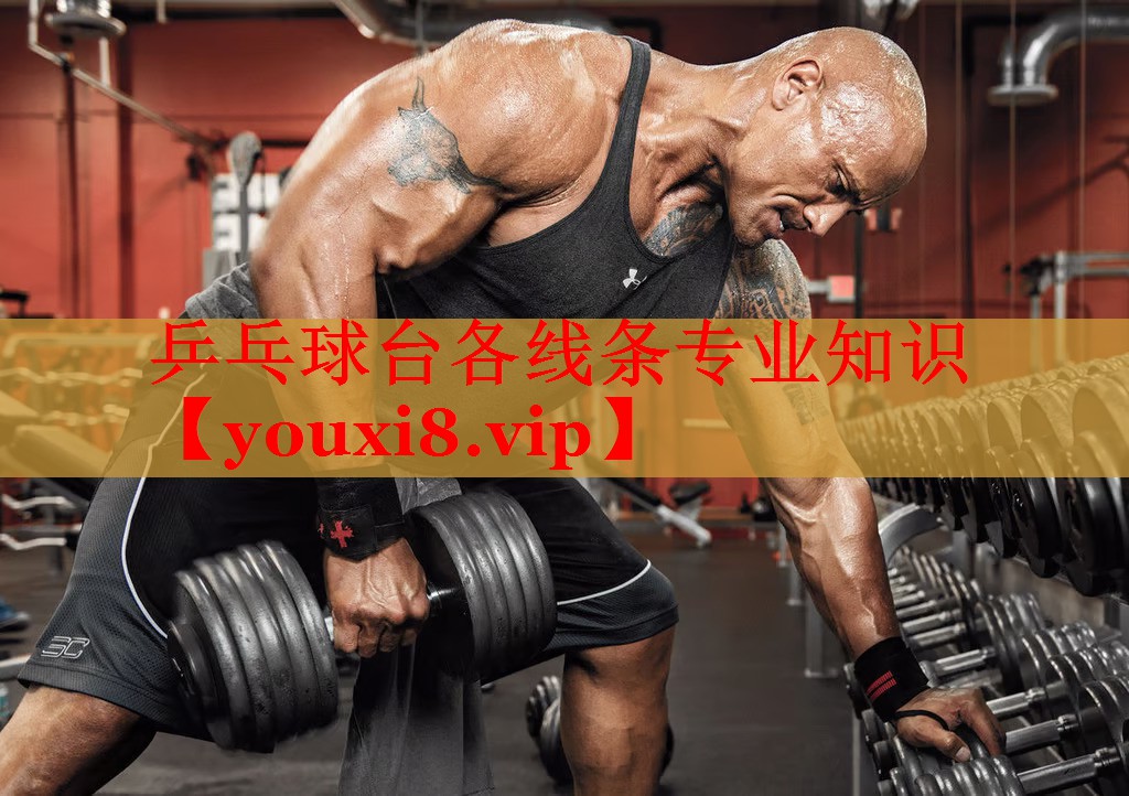 乒乓球台各线条专业知识