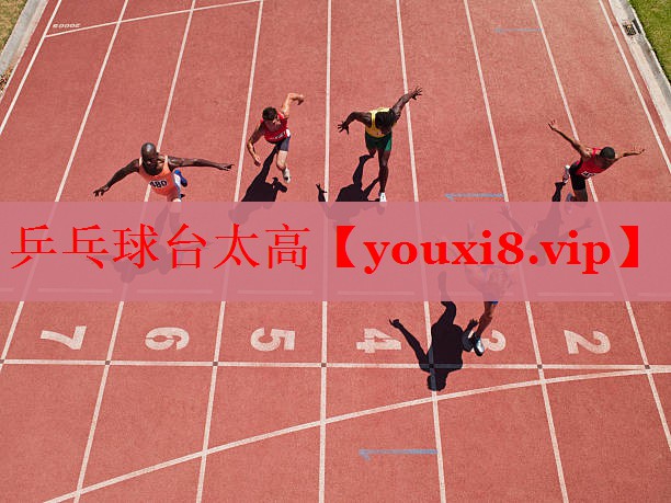 乒乓球台太高